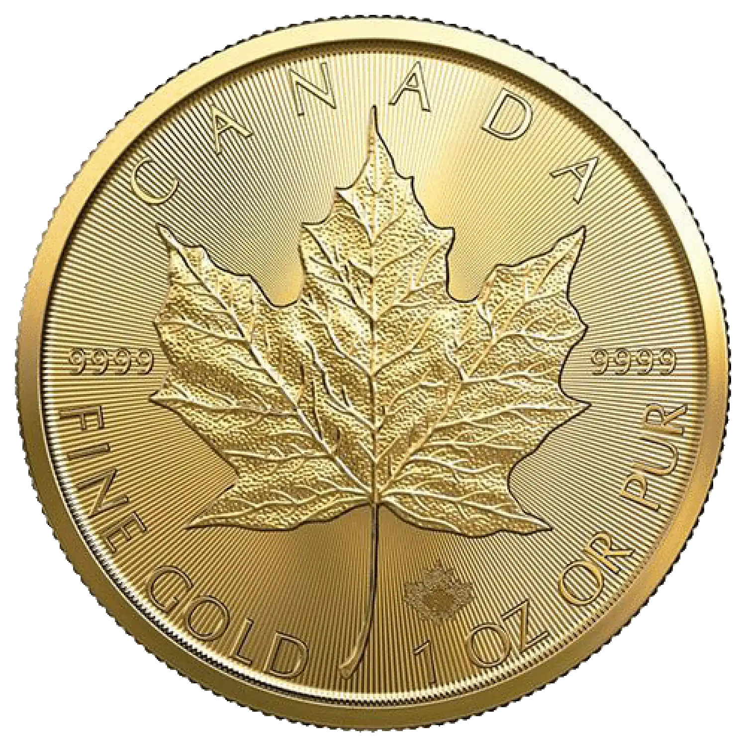 2024 1 oz Canadian Gold Maple Leaf Coin | Royal Canadian Mint